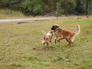 2009-10-04_ntb_0249