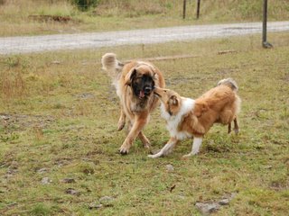 2009-10-04_ntb_0251