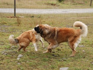 2009-10-04_ntb_0252