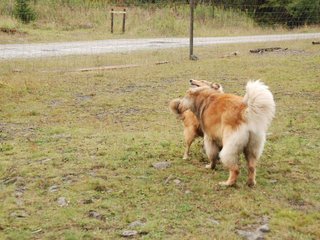 2009-10-04_ntb_0253