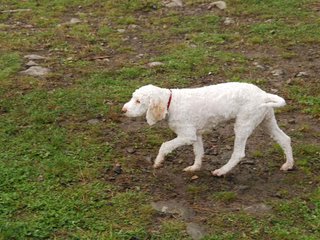 2009-10-04_ntb_0256