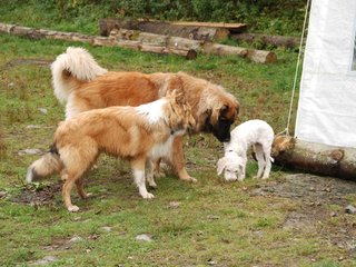 2009-10-04_ntb_0261
