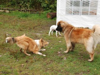 2009-10-04_ntb_0263