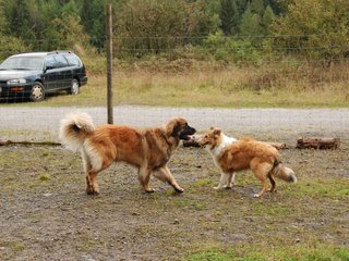 2009-10-04_ntb_0264