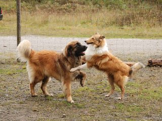 2009-10-04_ntb_0265