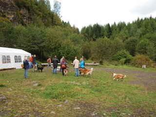 2009-10-04_ntb_0266