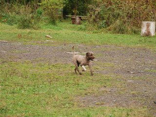2009-10-04_ntb_0268