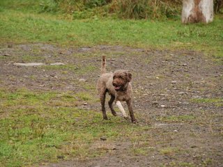 2009-10-04_ntb_0269