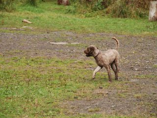 2009-10-04_ntb_0270