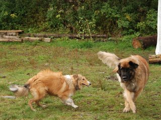 2009-10-04_ntb_0271