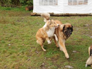 2009-10-04_ntb_0272