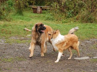 2009-10-04_ntb_0273