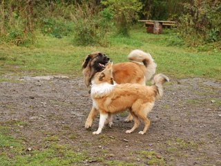 2009-10-04_ntb_0274