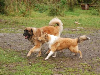 2009-10-04_ntb_0275