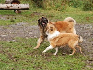 2009-10-04_ntb_0276