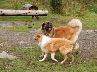 2009-10-04_ntb_0277