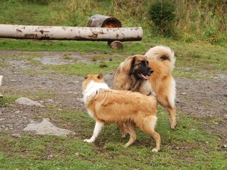 2009-10-04_ntb_0278