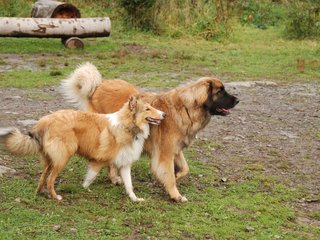 2009-10-04_ntb_0279