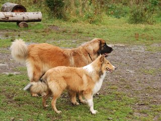 2009-10-04_ntb_0280