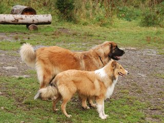 2009-10-04_ntb_0281
