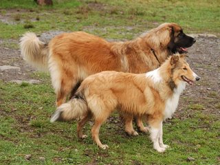 2009-10-04_ntb_0282