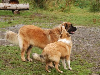 2009-10-04_ntb_0283