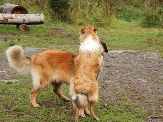 2009-10-04_ntb_0284