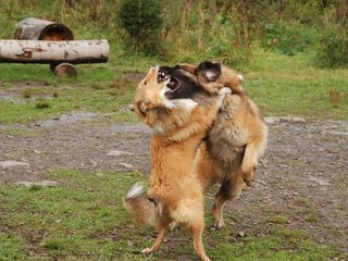2009-10-04_ntb_0286