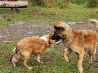 2009-10-04_ntb_0287