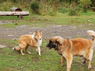 2009-10-04_ntb_0288