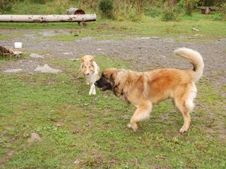 2009-10-04_ntb_0289