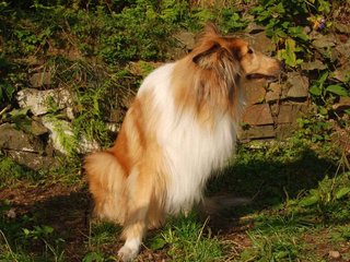 2009-08-14_ntb_4209