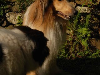 2009-08-14_ntb_4214