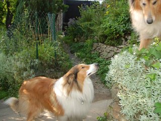 2009-08-14_ntb_4217
