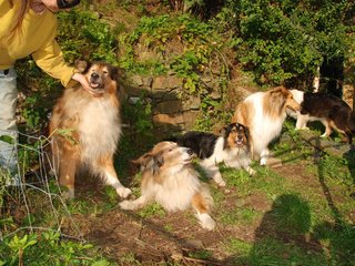 2009-08-14_ntb_4218