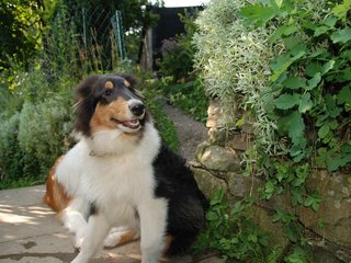 2009-08-14_ntb_4221
