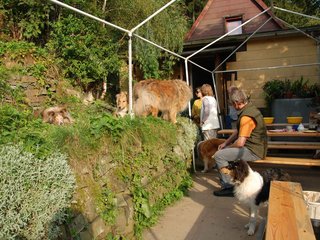 2009-08-14_ntb_4223