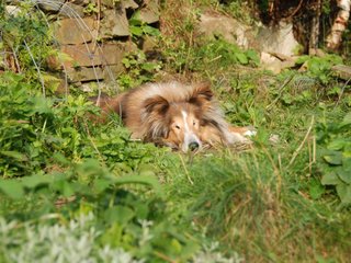 2009-08-14_ntb_4224