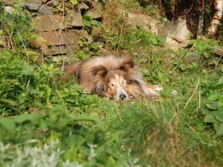 2009-08-14_ntb_4225