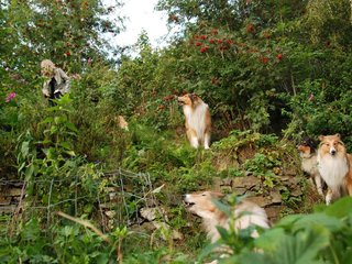 2009-08-14_ntb_4234