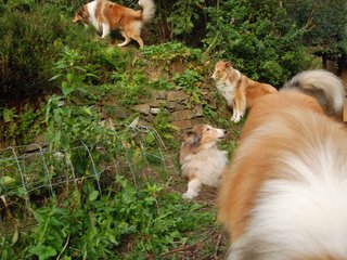 2009-08-14_ntb_4237