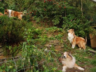 2009-08-14_ntb_4238