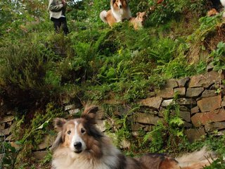 2009-08-14_ntb_4239