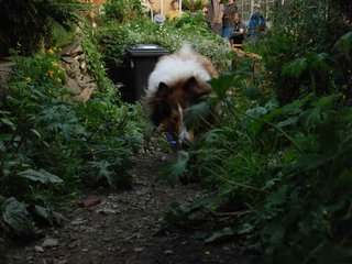 2009-08-14_ntb_4249