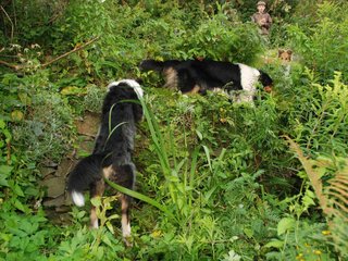 2009-08-14_ntb_4251