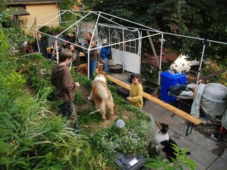 2009-08-14_ntb_4272
