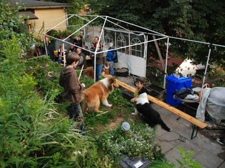 2009-08-14_ntb_4273
