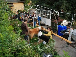2009-08-14_ntb_4275