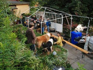 2009-08-14_ntb_4276