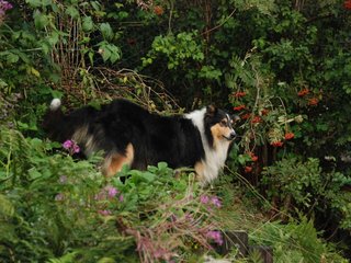 2009-08-14_ntb_4279